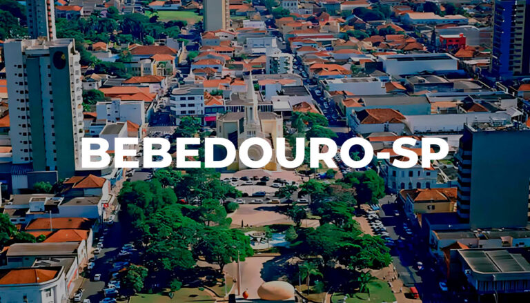 Leia mais sobre o artigo Ações de Marketing para Negócios Locais de Bebedouro-SP e Região