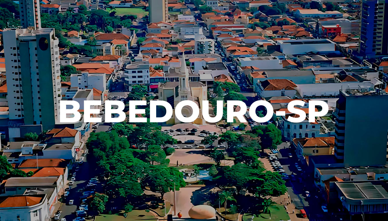 Leia mais sobre o artigo Ações de Marketing para Negócios Locais de Bebedouro-SP e Região